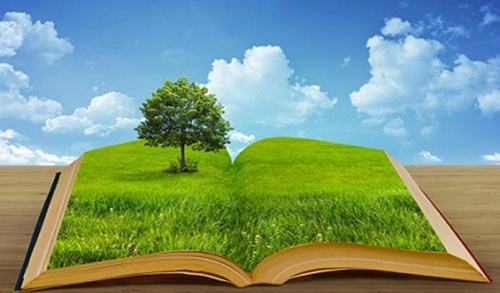 2018年环保部将会更加突出大气、水、土壤三大领域污染治理,继续实施和深化环保领域改革,强化环境执法督察。更重要的是加强环境法治建设,完善相关法律法规和环境治理体系。